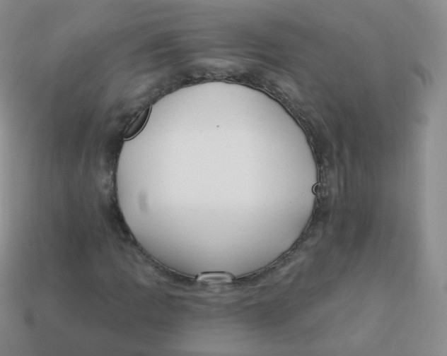 X0000113271109200910081355