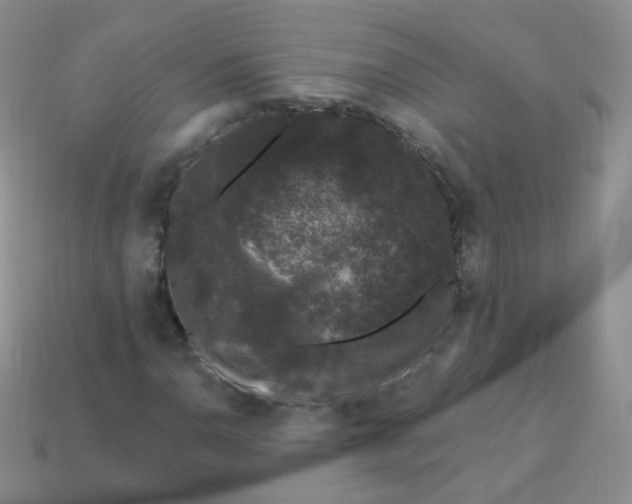 X0000113271110200910081355