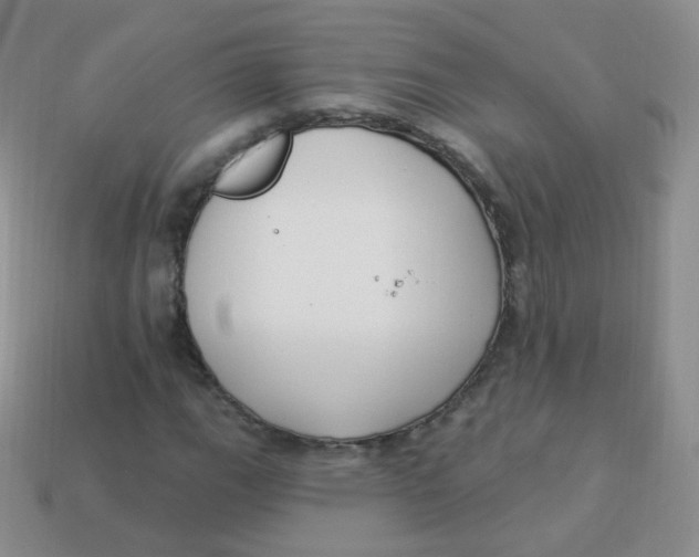 X0000113271111200910081355