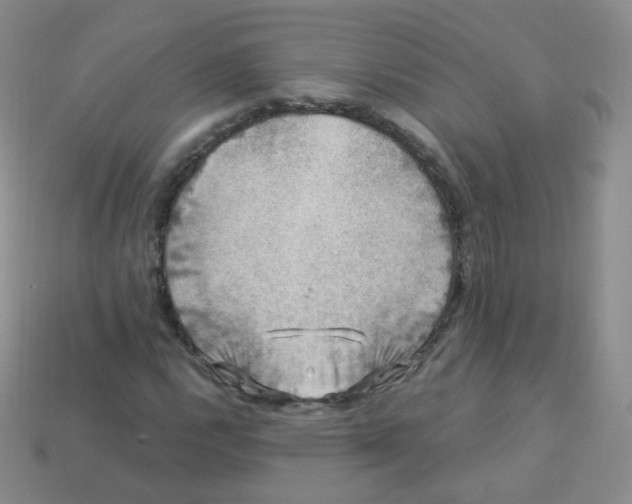 X0000113271112200910081355