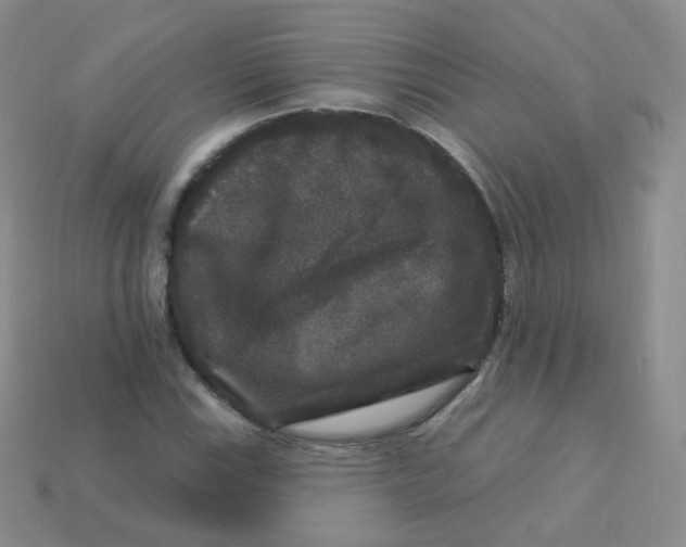 X0000113271115200910081355