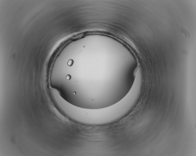 X0000113271116200910081355