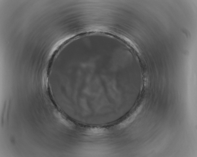 X0000113271117200910081355