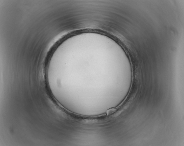 X0000113271118200910081355