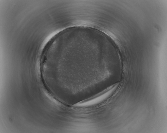 X0000113271120200910081355