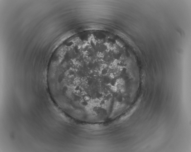 X0000113271121200910081355