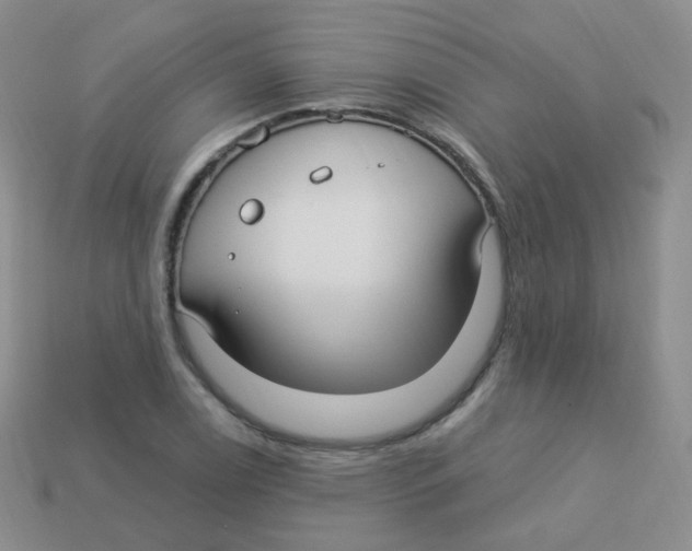 X0000113271122200910081355