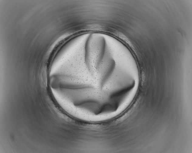 X0000113271123200910081355