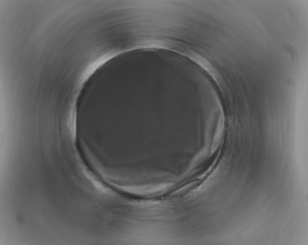 X0000113271127200910081355