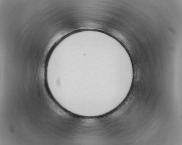 X0000113271130200910081355