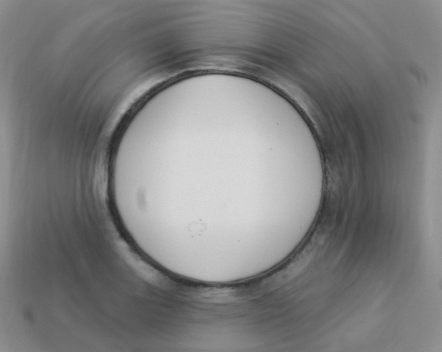 X0000113271131200910081355