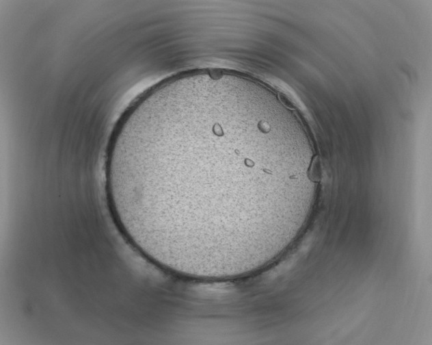 X0000113271133200910081355