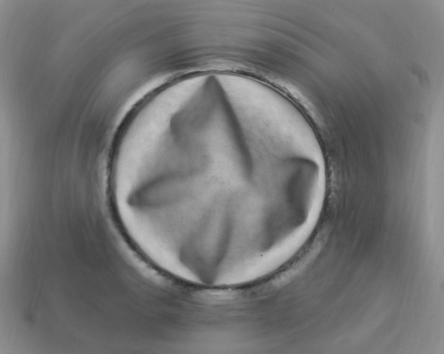 X0000113271134200910081355