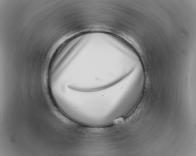 X0000113271136200910081355