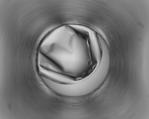 X0000113271138200910081355