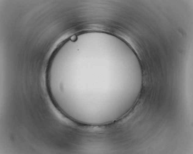 X0000113271139200910081355