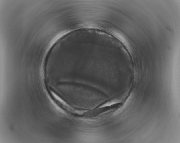 X0000113271141200910081355