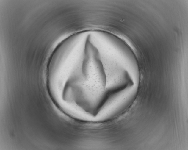 X0000113271143200910081355