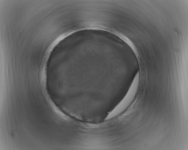 X0000113271144200910081355