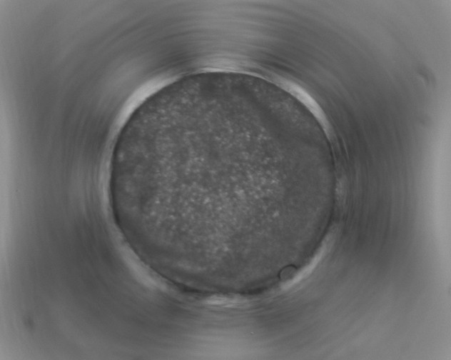 X0000113271146200910081355