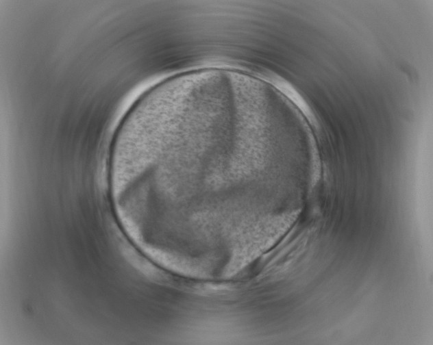 X0000113271148200910081355