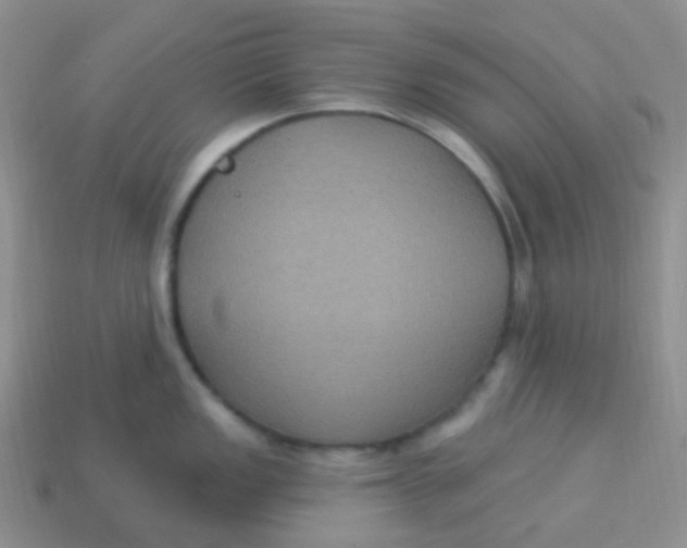 X0000113271149200910081355