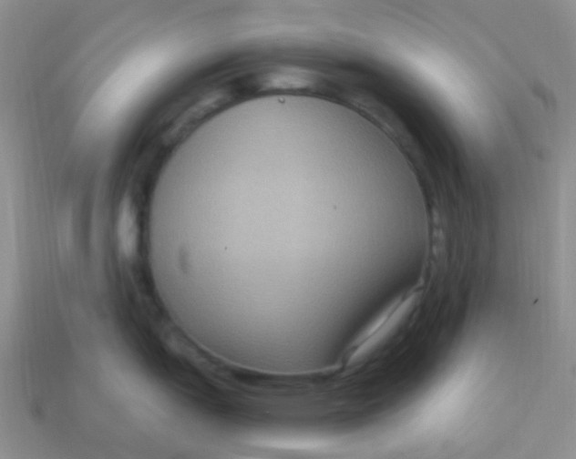 X0000113271151200910081355