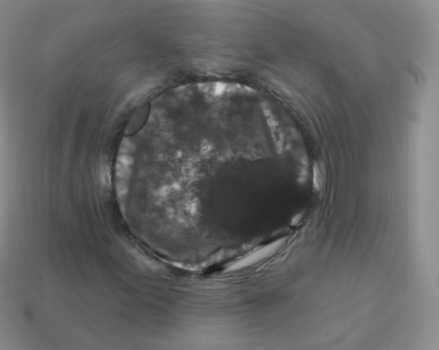 X0000113271155200910081354