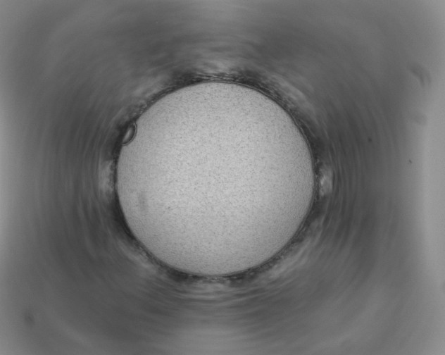 X0000113271156200910081354