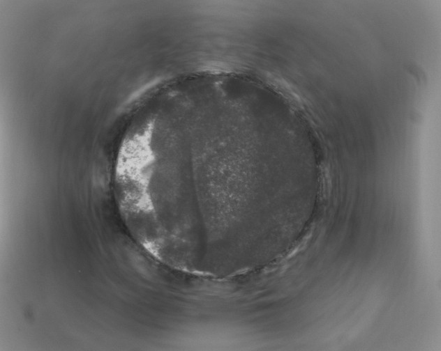 X0000113271158200910081354