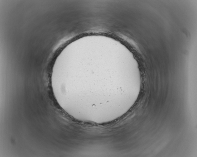 X0000113271160200910081354