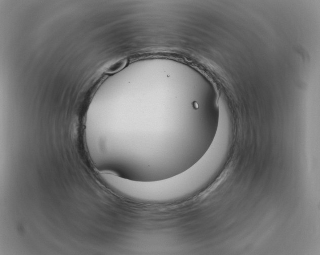 X0000113271161200910081354