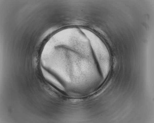 X0000113271163200910081354