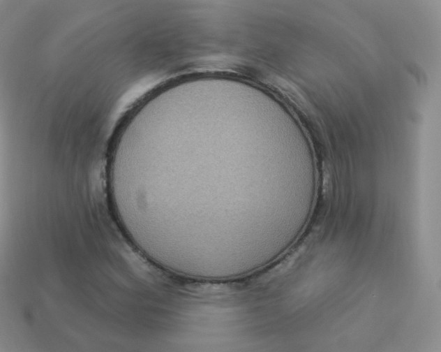 X0000113271164200910081354