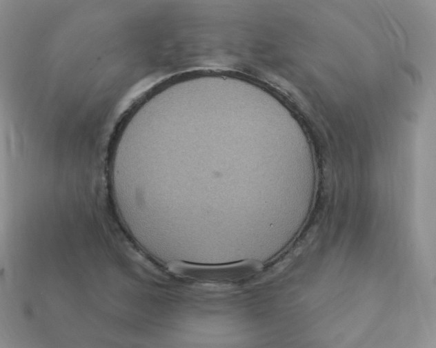 X0000113271168200910081354