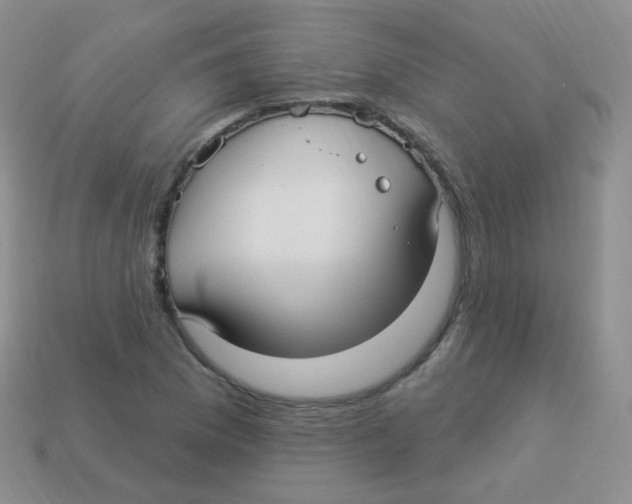 X0000113271169200910081354