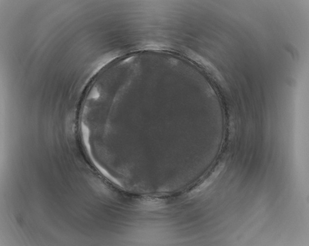 X0000113271170200910081354