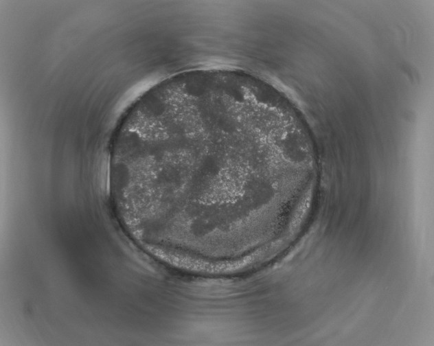 X0000113271171200910081354