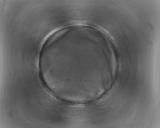 X0000113271174200910081354