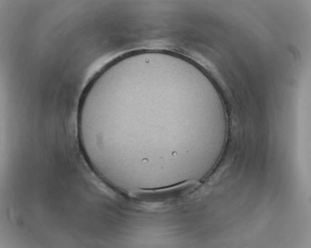 X0000113271176200910081354