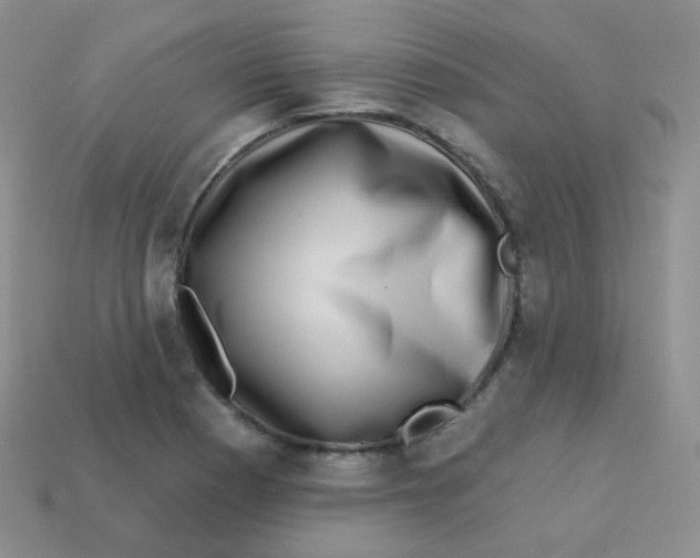 X0000113271177200910081354