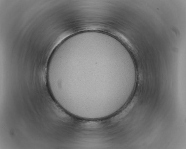 X0000113271178200910081354