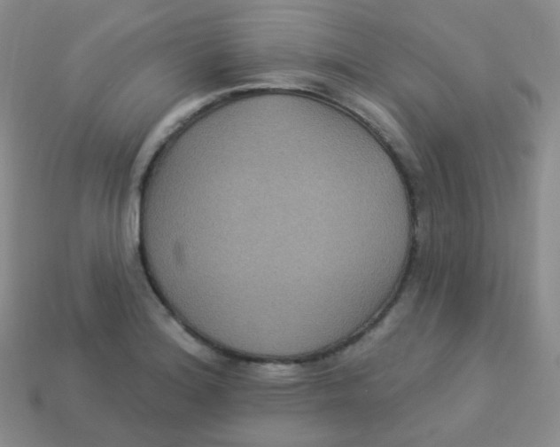 X0000113271180200910081354