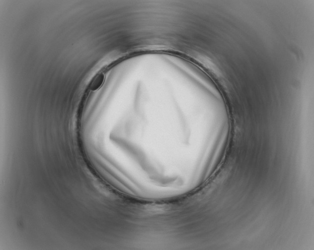 X0000113271181200910081354