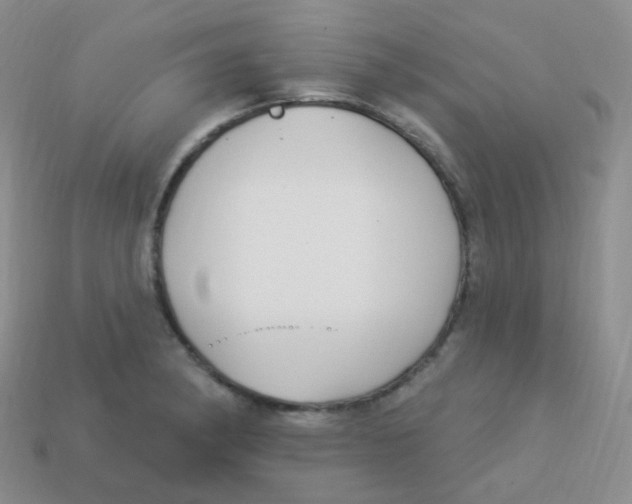 X0000113271182200910081354