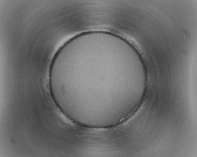 X0000113271184200910081354