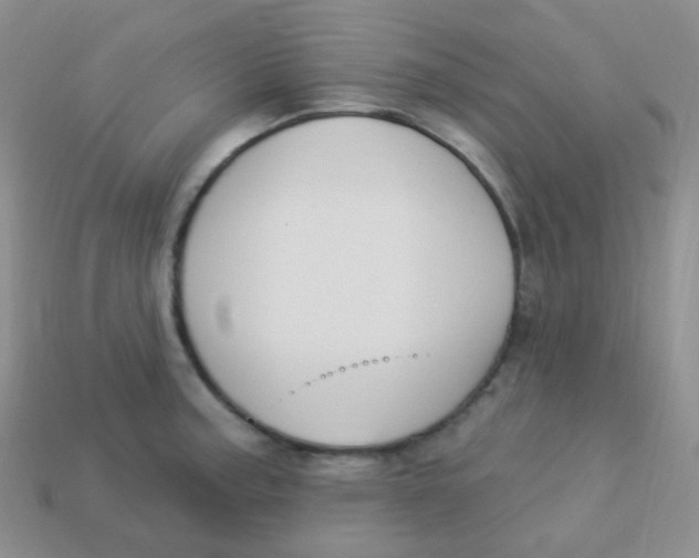 X0000113271187200910081354