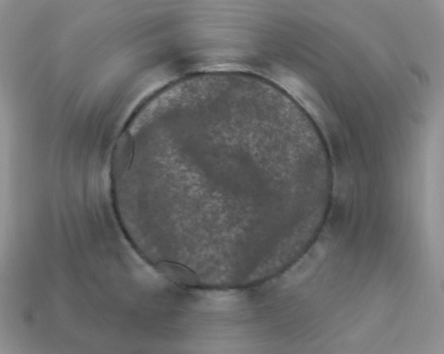 X0000113271189200910081354