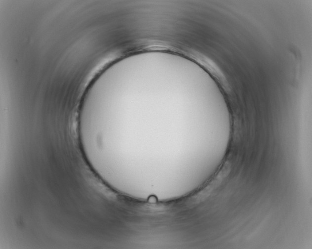 X0000113271190200910081354