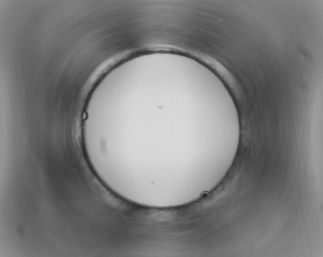 X0000113271191200910081354